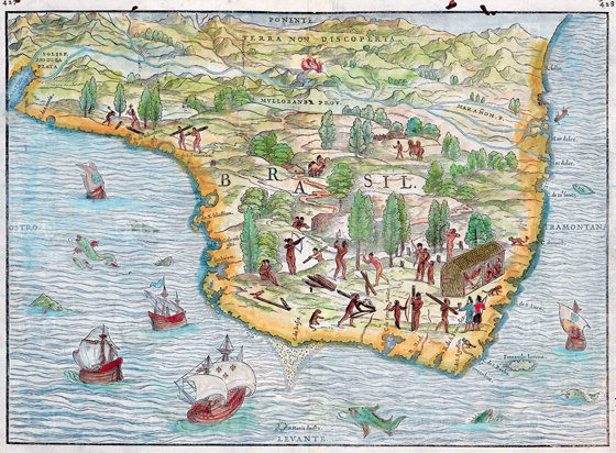 mapa ramusio n t