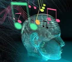 cerebro