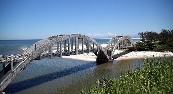 Ilha PonteVelha wiki